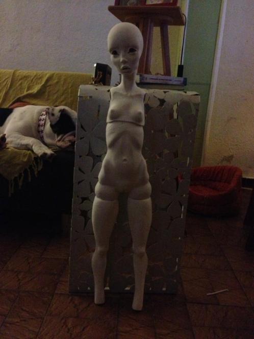 1011748_10151673055124643_1583558053_n