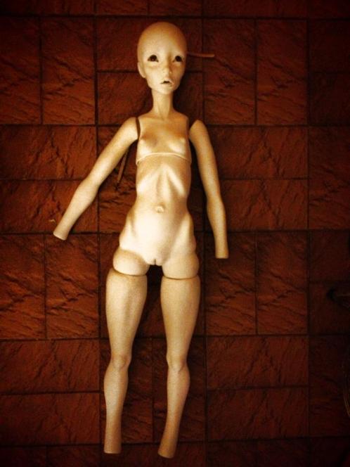 1012886_10151757730224643_223067335_n