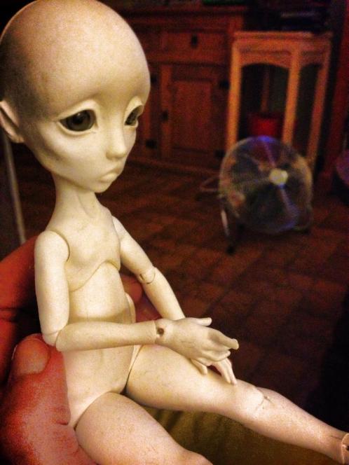 968874_10151750749714643_1727707431_n